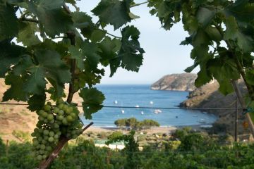 Hotel Cala Jòncols 